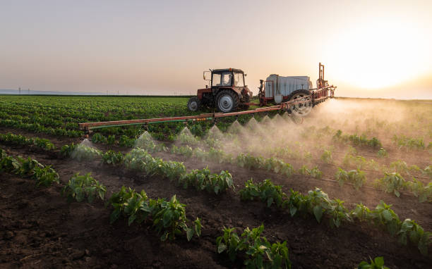 Best Insect Control  in Hlsboro, IL